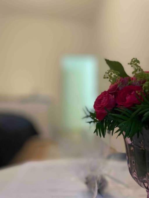 Stylish Cozy Apartment In غراتس المظهر الخارجي الصورة